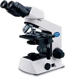 Olympus